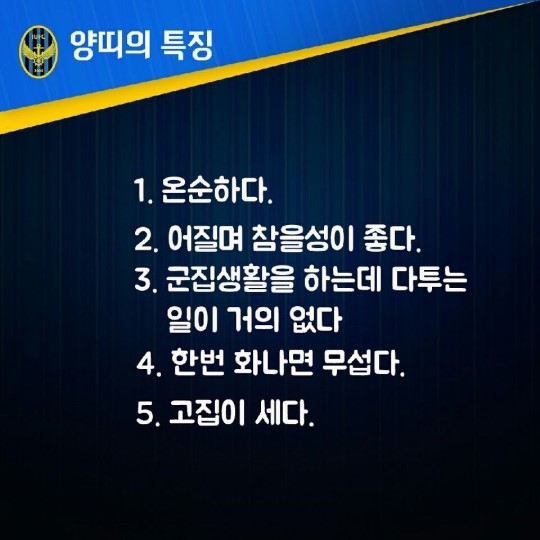 인천UTD, 91년생 양띠 4인방의 톡톡 튀는 TALK ①