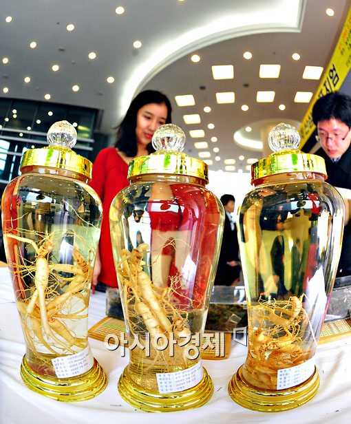 [포토뉴스] 세계 각국의 산삼이 한자리에