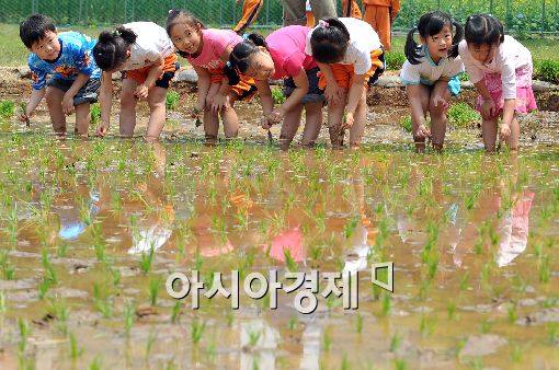 [포토] 우리는 도심속 농부~