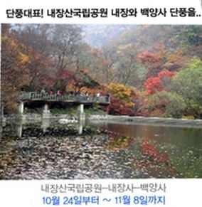 이안상조, 부모님 효도관광 상품