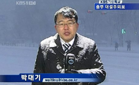 KBS 박대기 기자, 폭설이 낳은 스타 눈길