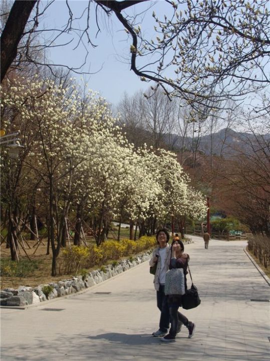 가족과 함께 산뜻한 봄 나들이 가볼까?