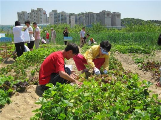 ‘장애인 더불어 서 농장’ 첫 농산물 수확