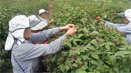 지역경제는 활기...부품소재는 흑자효자로