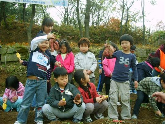 도봉구 창3동, 고구마 캐기 행사 가져