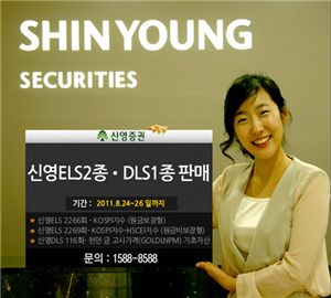 신영證, ELS 2종 · DLS 1종 판매
