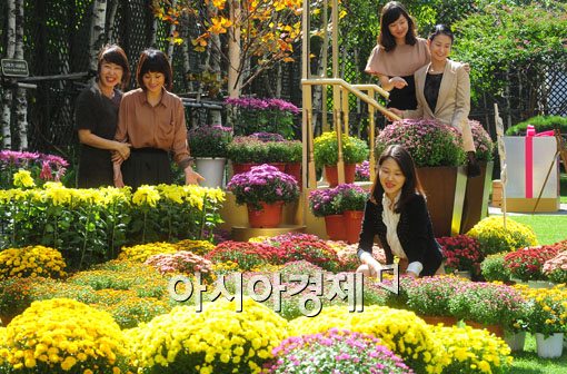 [포토] 여심의 마음을 홀린 국화