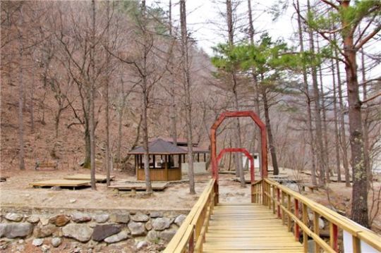 ‘3욕’ 즐기려면 통고산자연휴양림으로