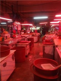 [르포]절대 못 내려 돼지고기 도매값 2600원인데 식당은 1만1000원