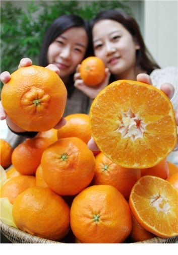 [포토]충주산 유기농 탄금향 맛보세요