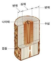 얘들아, 키 크면 또 만들어줄게···DIY니까