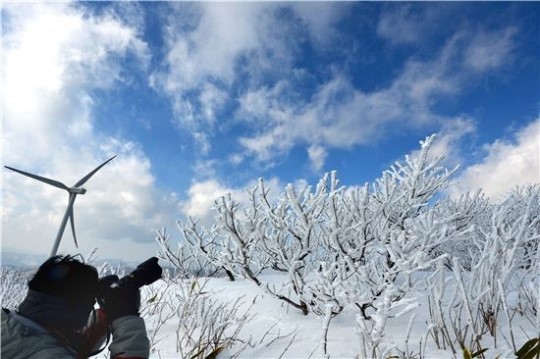 사박사박 쉽게 올라 화려한 겨울꽃을 품다