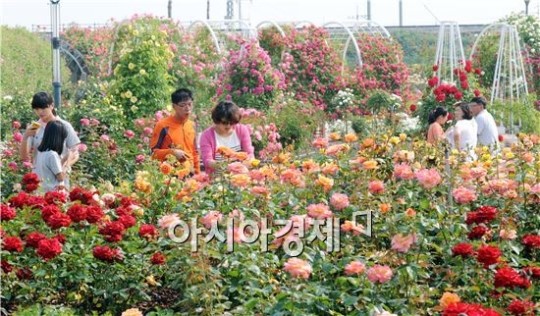 [남도 힐링 여행] 곡성 기차마을 추억여행 4선