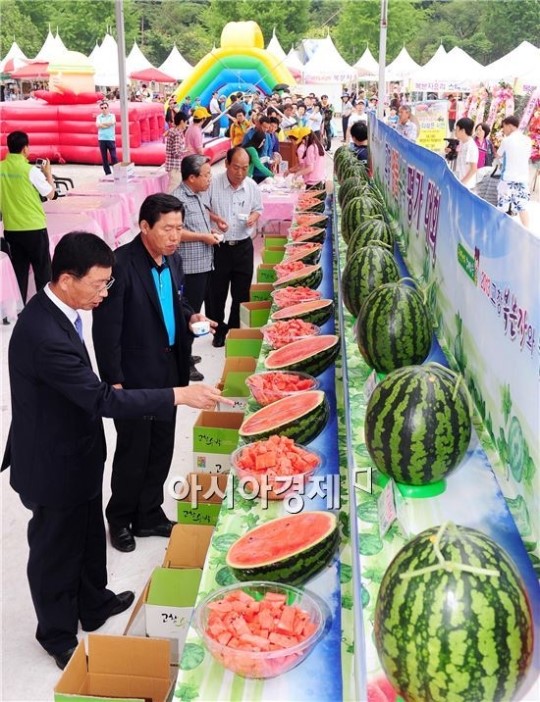 풍천장어와 함께하는 2013 고창 복분자와 수박축제 성료