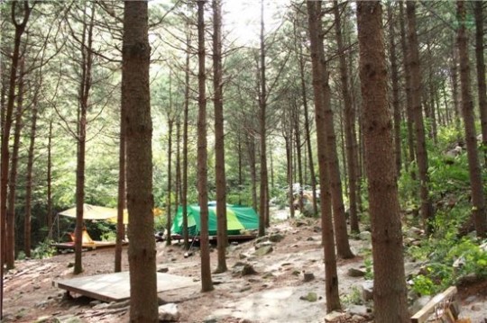 올 여름 휴가 캠핑하기 좋은 ‘휴양림 6곳’