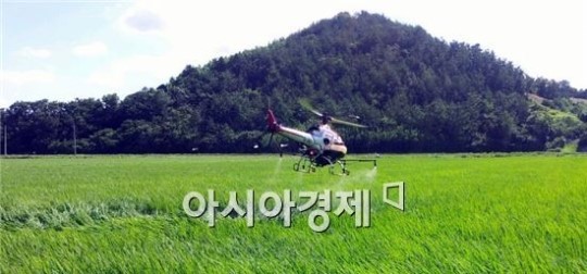 해남군, 무인헬기 방제로 노동력 절감!