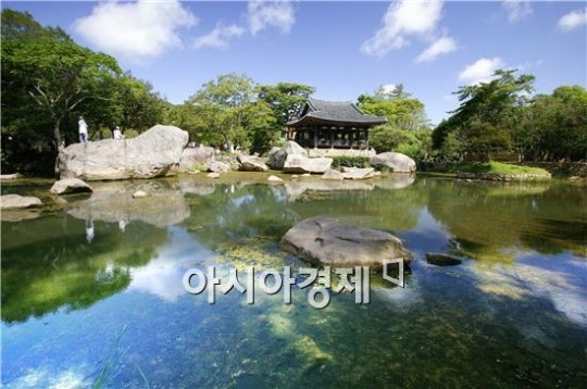 한국인이 꼭 가봐야 할 관광지,“빙그레 섬 완도 ”