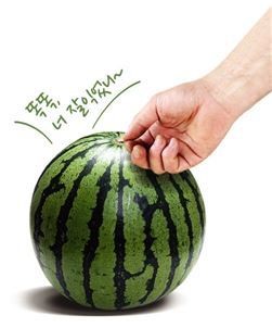 제철과일·수산물 껍질 보고 골라라