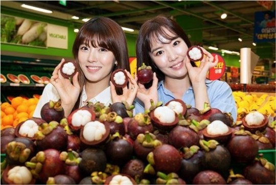[포토]홈플러스, 태국산 망고 맛보세요~!
