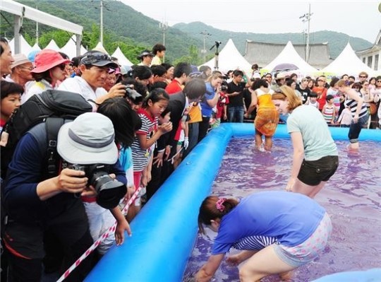 맨손으로 고기잡고, 복분자 따고…주말 지역 축제 풍성