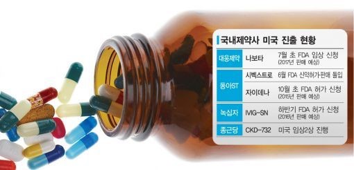 토종신약, 줄줄이 美 상륙작전