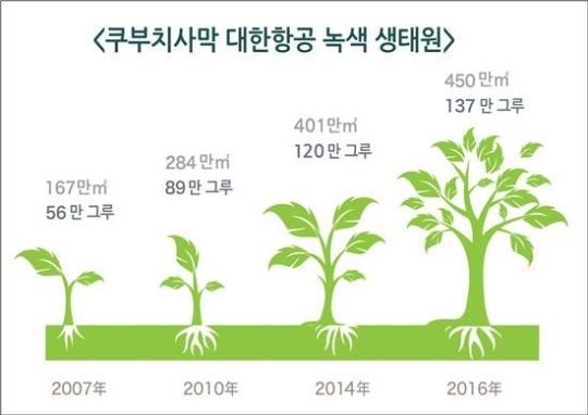 中 쿠부치 사막서 자라는 대한항공 희망 나무