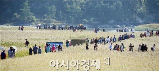 [포토]순천만 갈대愛, 순천맛을 느끼는 관광객들