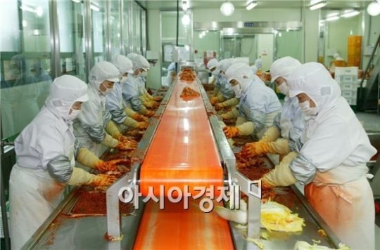 순천농협, 가을배추 전량수매·명품 남도김치로 재탄생