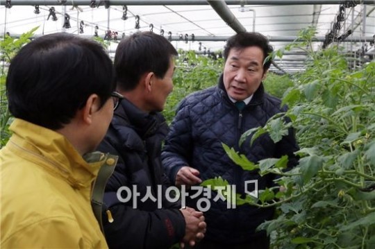 이낙연 전남지사, 수매·유기농 명인 농가 현장행정 나서