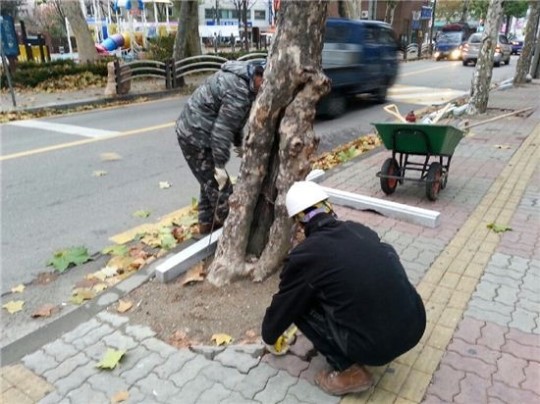 방배중앙로 가로수 보호틀 정비