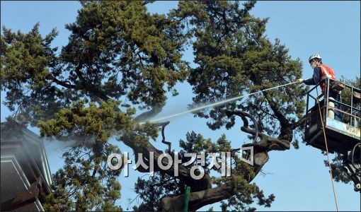 [포토]새 봄맞이 세척 작업