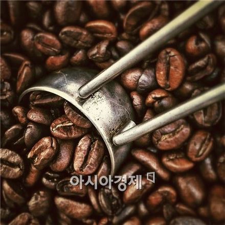 원두커피 찌꺼기 쓰임새, 노화방지에 셀룰라이트 제거까지?