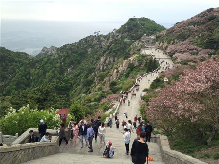 유럽 왔나? 칭다오 낭만여행…中中獨에 중독되다