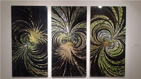 곤충의 눈으로 본 세상, 사진에 담다…주도양展