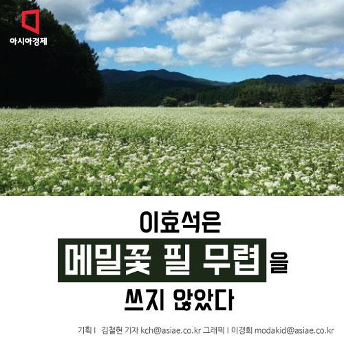 [카드뉴스]이효석은 메밀꽃 필 무렵을 쓰지 않았다