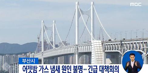 가스,개미떼 자꾸 와 이카노? … 지진괴담 부산이 떤다