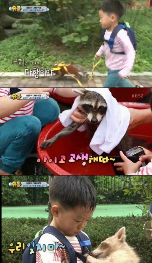 슈퍼맨 너구리 만난 서언·서준, 또 만나자 아쉬운 작별