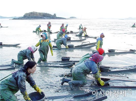 보성군, 제15회 벌교꼬막축제 개최