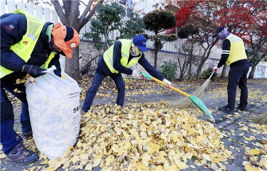 [포토]광주시 북구, 가로수 낙엽수거 재활용