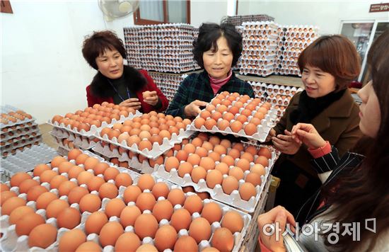 [포토]명절 대비 식용란 수집판매업소 지도점검