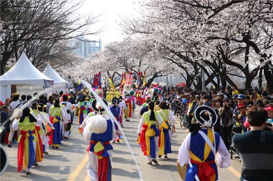 벚꽃 향연 여의도 봄꽃축제 4월1일  개막