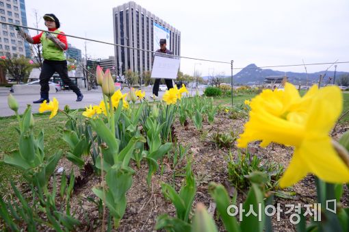 [포토]봄향기 가득한 광장