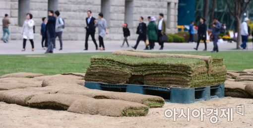 [포토]푸른 광장을 걷고 싶다