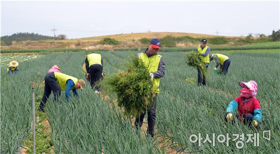 전남농협, 전국동시 영농지원 발대식 개최