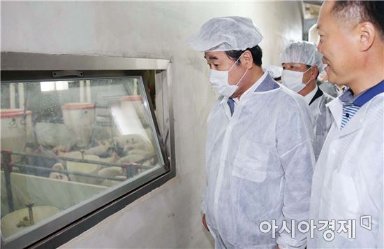 이낙연 전남도지사, 신안 씨돼지 품종 개량 현장 살펴