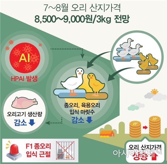 닭·오리·돼지고기 다음달에도 高!…안 잡히는 축산물 가격(종합)