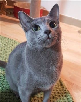 0004020216_001_20170623110434144.jpg?typ