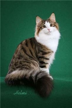 0004020216_002_20170623110434167.jpg?typ