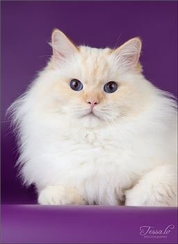 0004020216_004_20170623110434193.jpg?typ