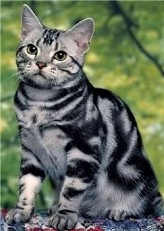 0004020216_005_20170623110434207.jpg?typ